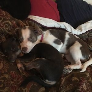 Meet your Posher, Madison